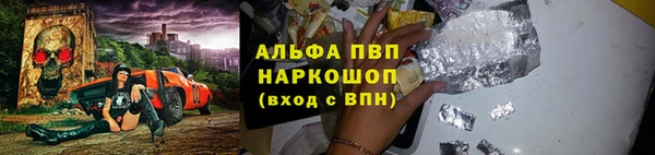 Альфа ПВП Белокуриха