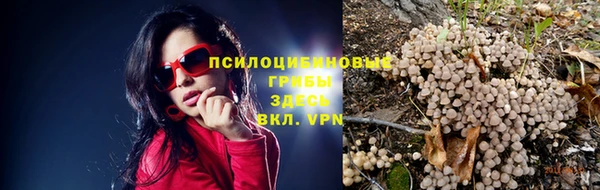 прущая мука Беломорск